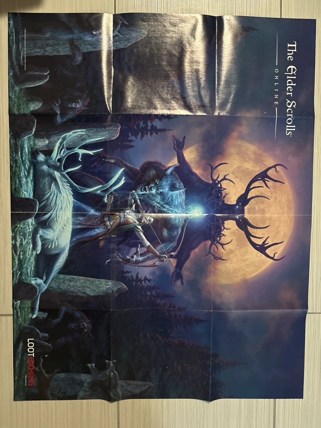 The Elder Scrolls Online Poster