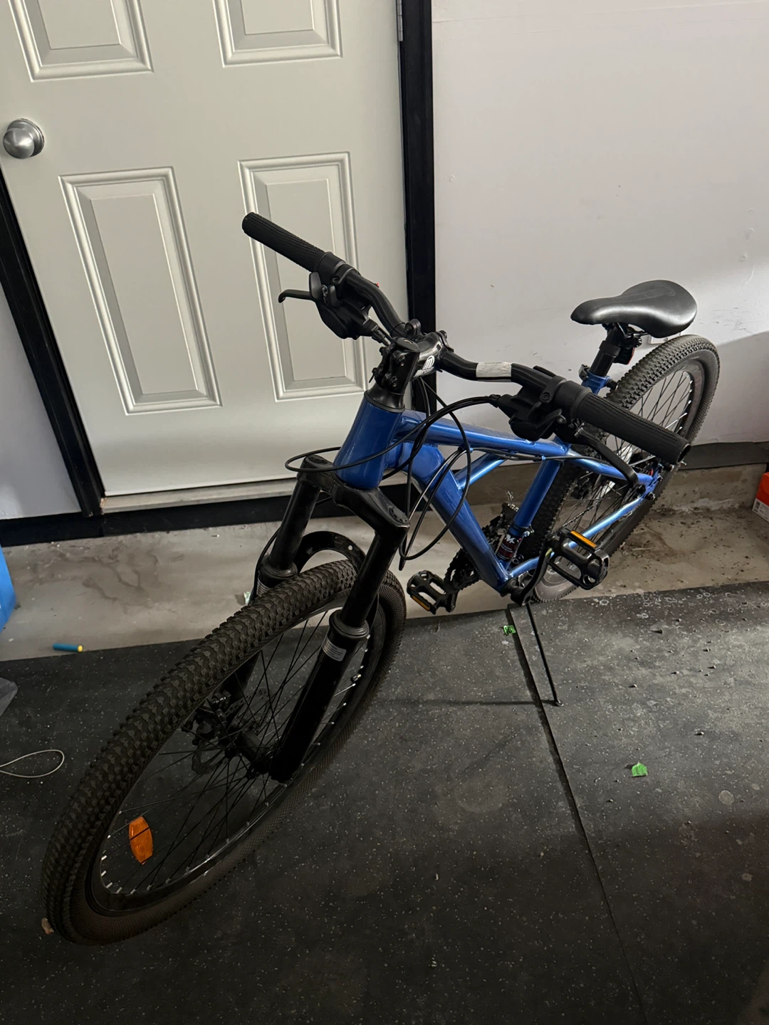 Blue Mountain Bike