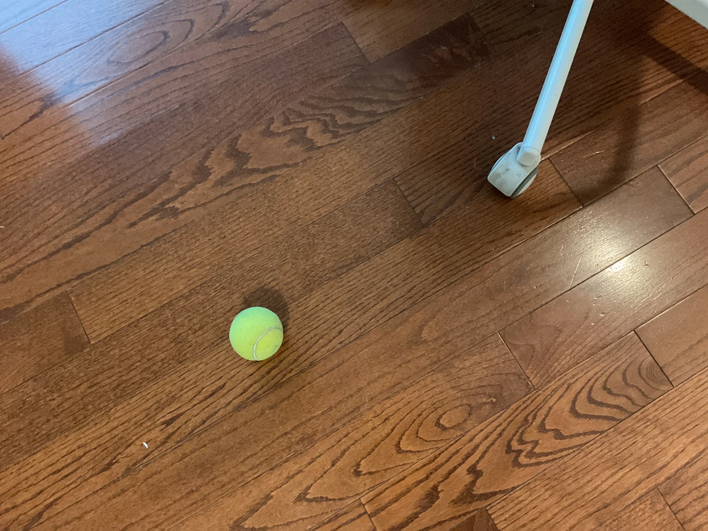 Tennis Ball