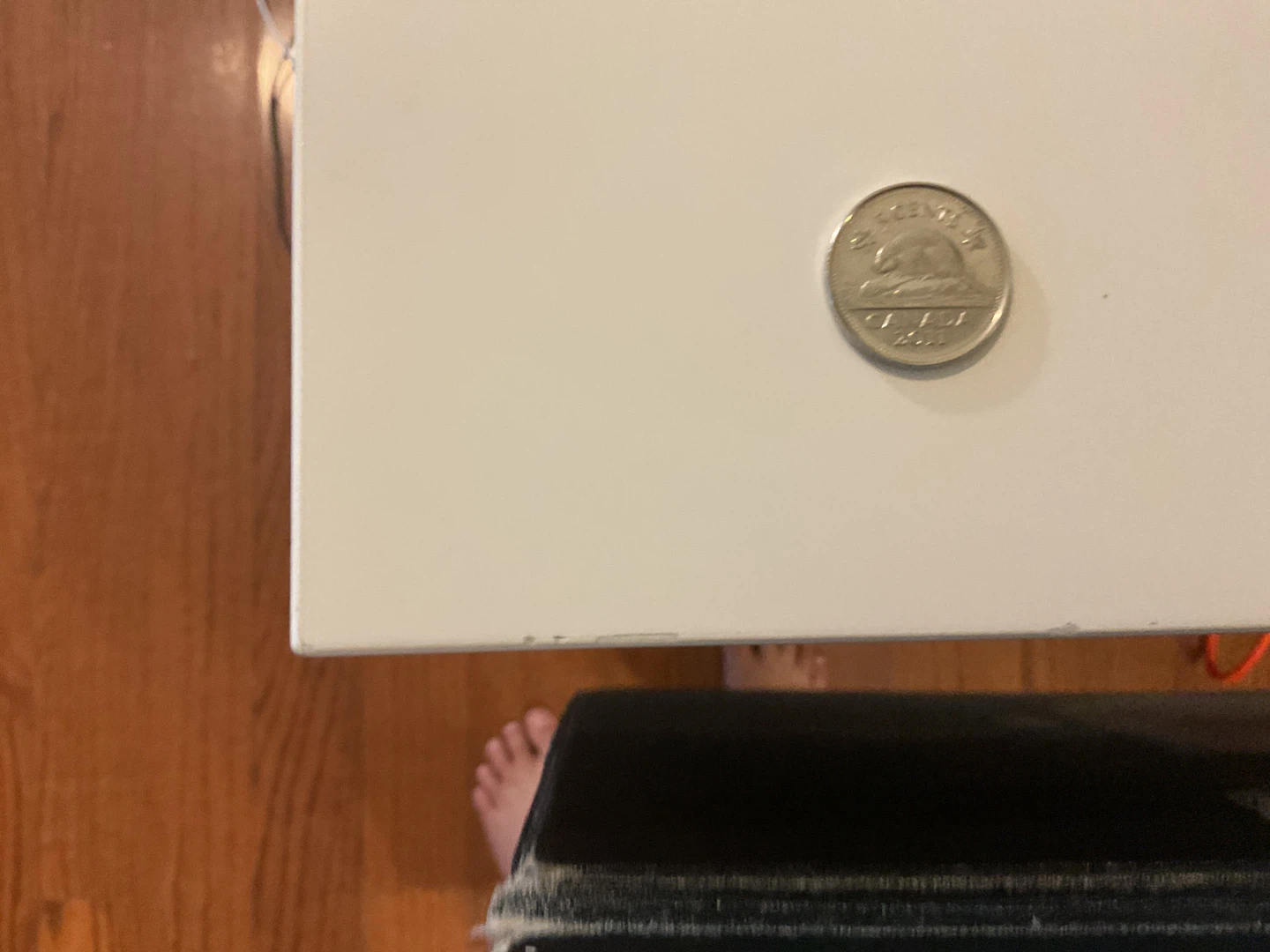 Canadian Nickel 2011