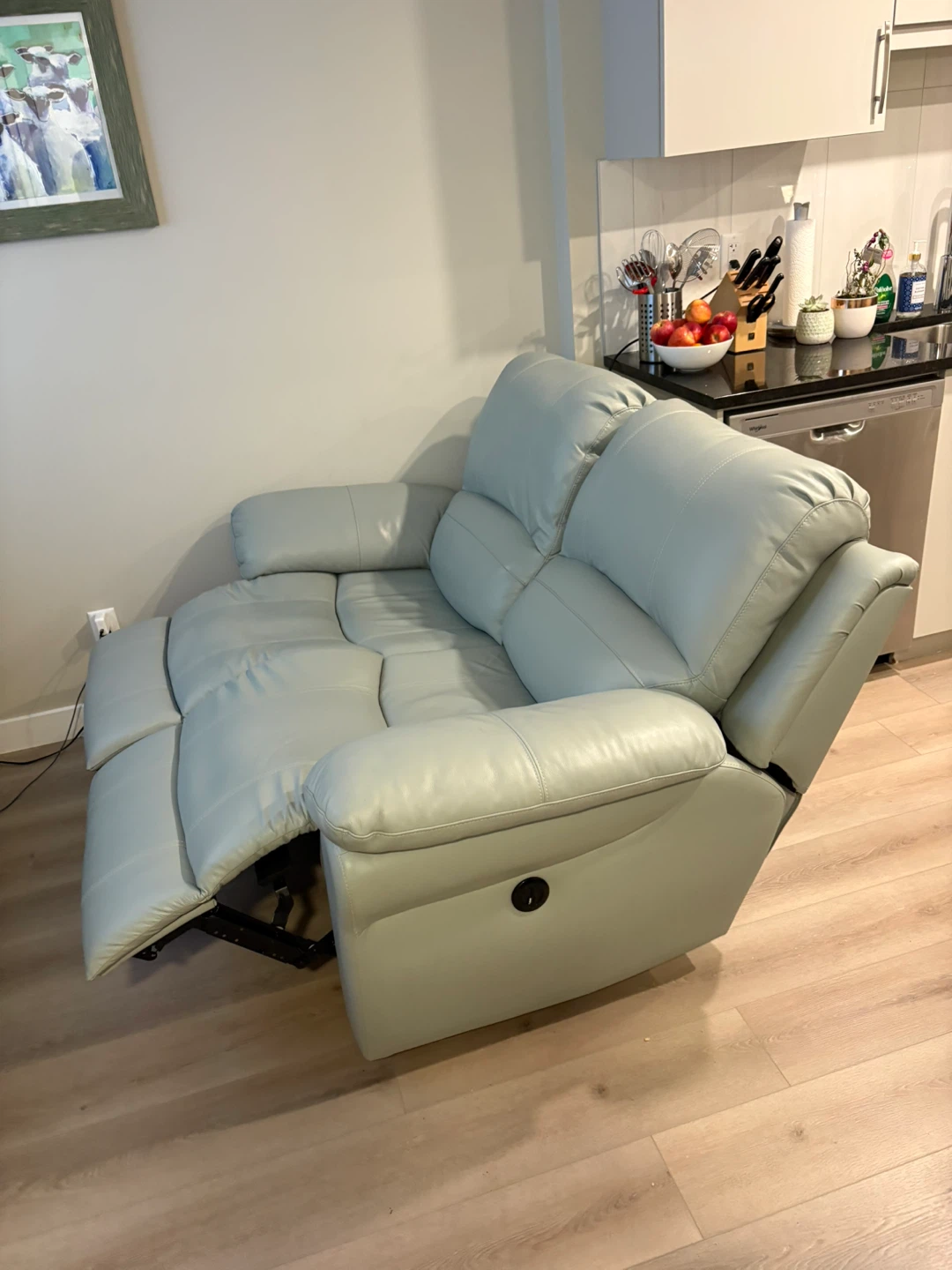 Light Green Leather Reclining Loveseat