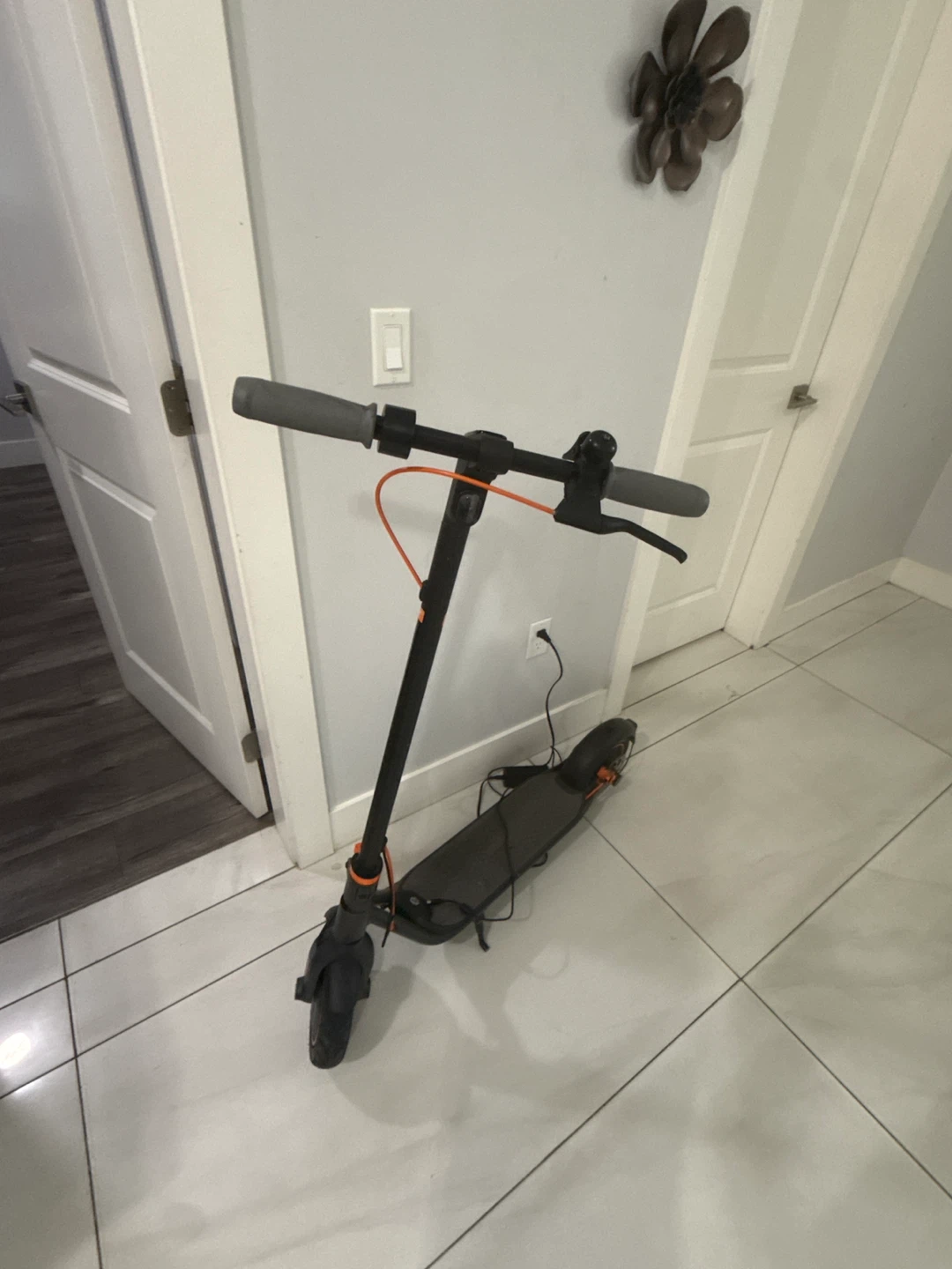 Ninebot Electric Scooter