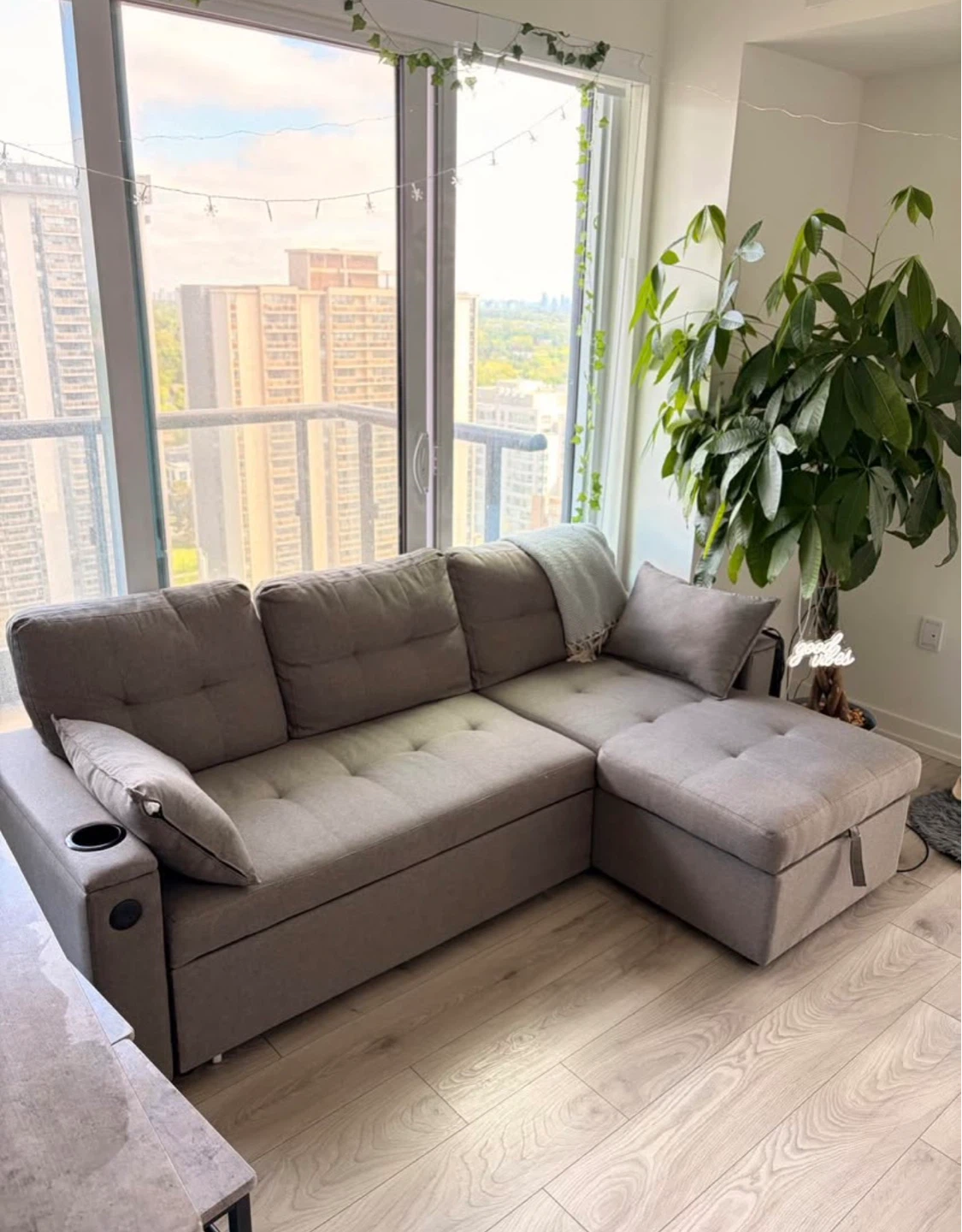 Pull Out Sofa Bed with Storage