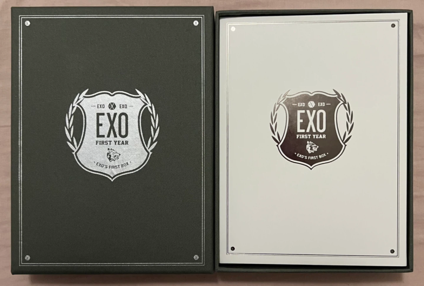 EXO First Year DVD collection