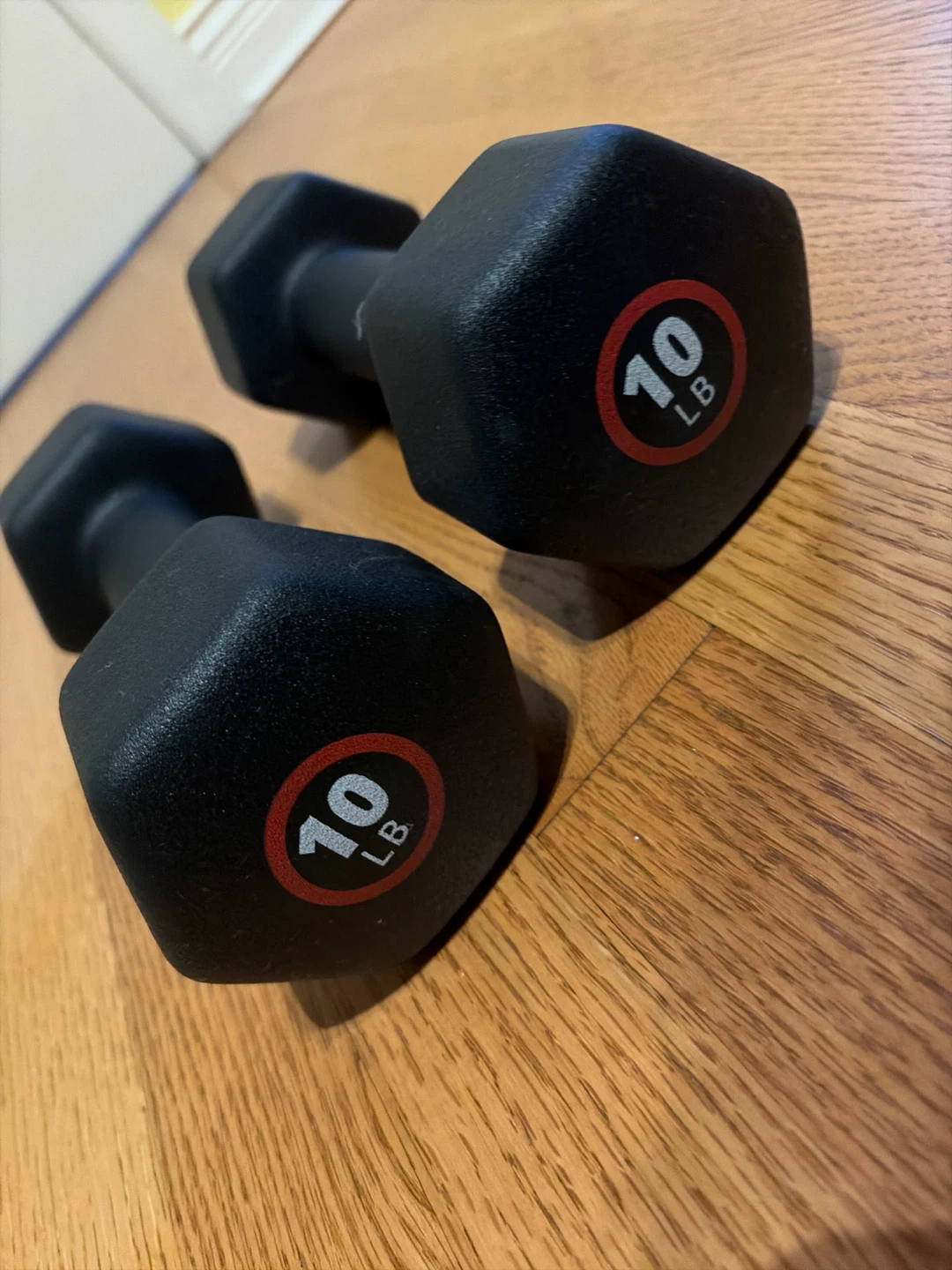 EVOKE 5 lb Dumbbells (Pair)