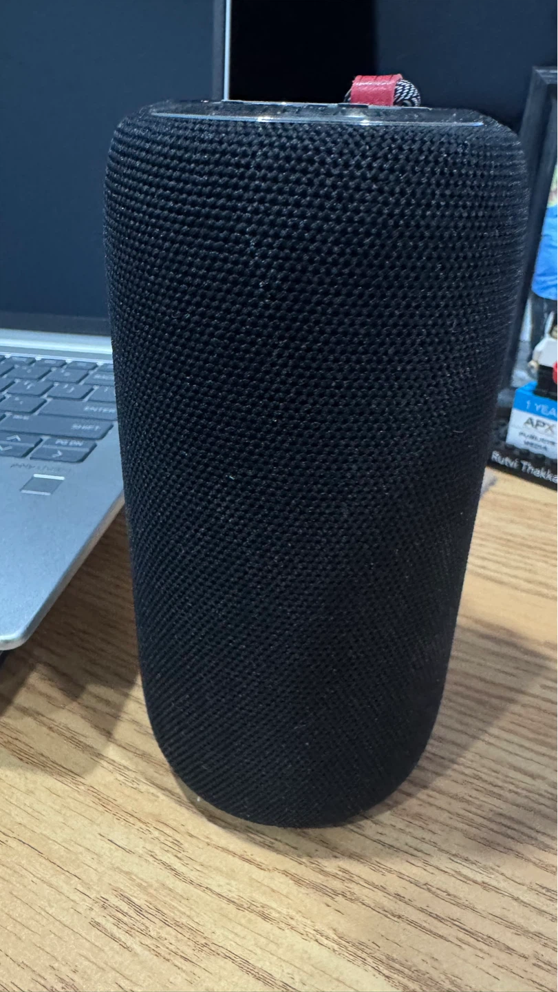Monster S310 Bluetooth Speaker