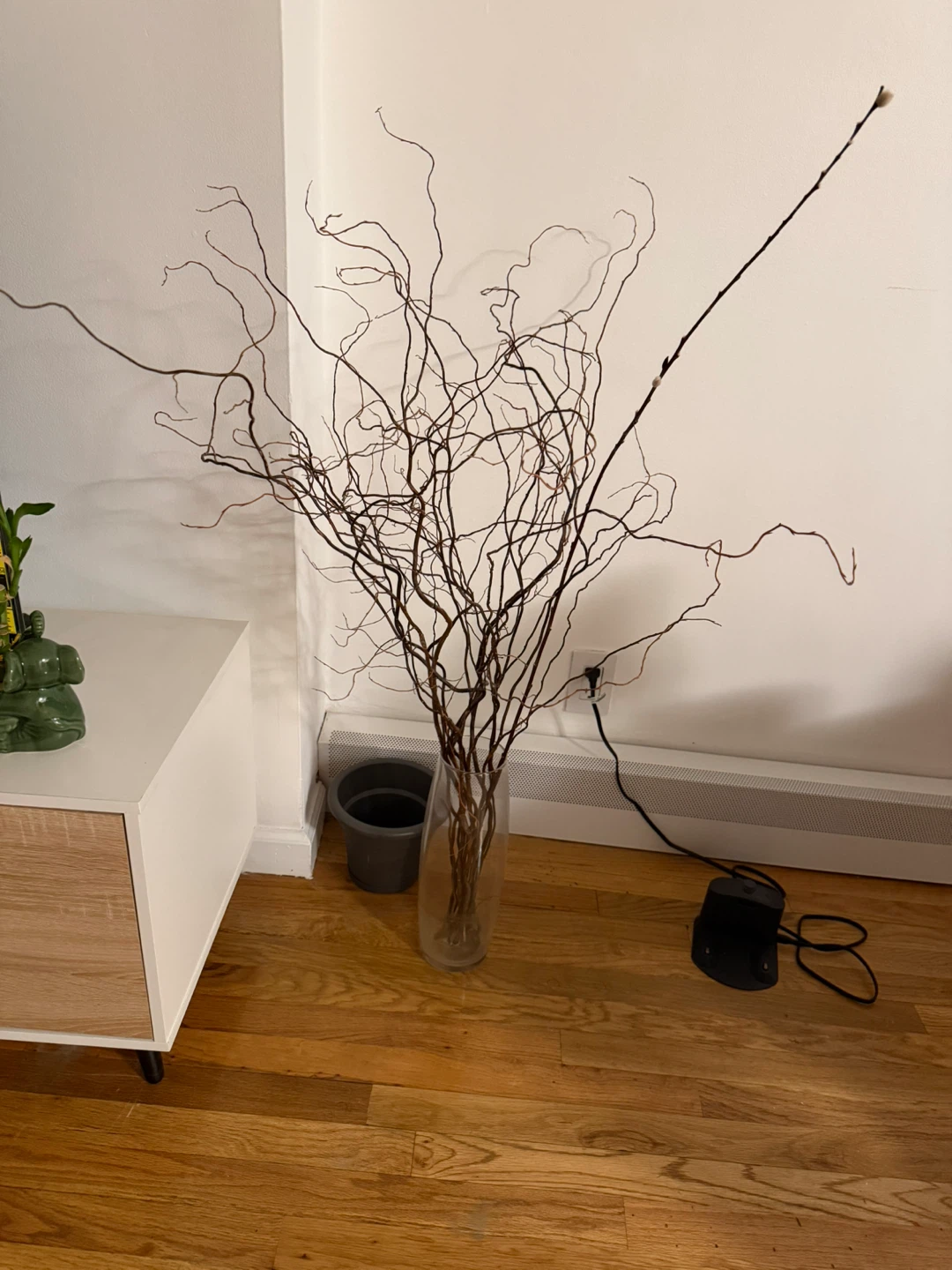 Tall Curly Willow Branches for Decor