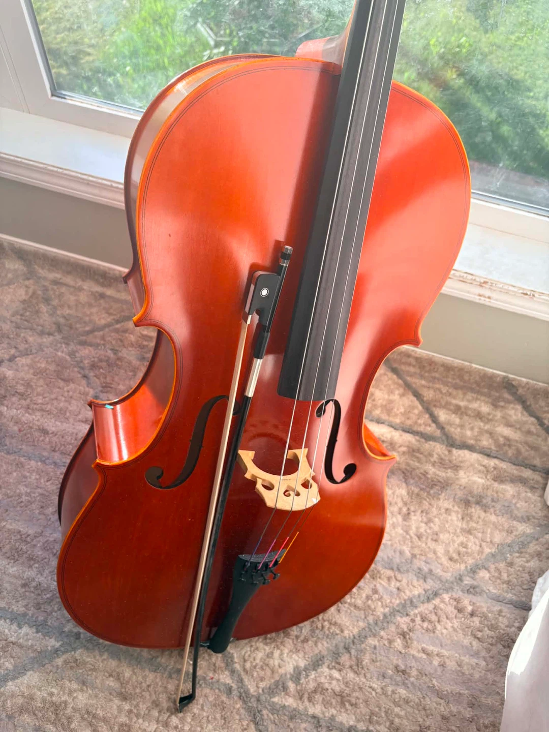 Eastman Strings Cello with Bow Size 4/4