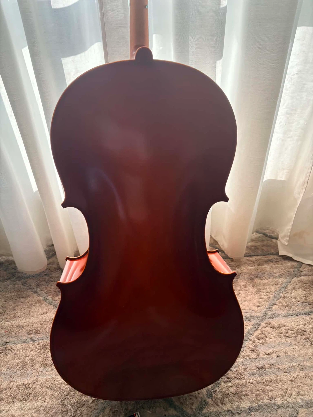 Eastman Strings Cello with Bow Size 4/4 - photo 3