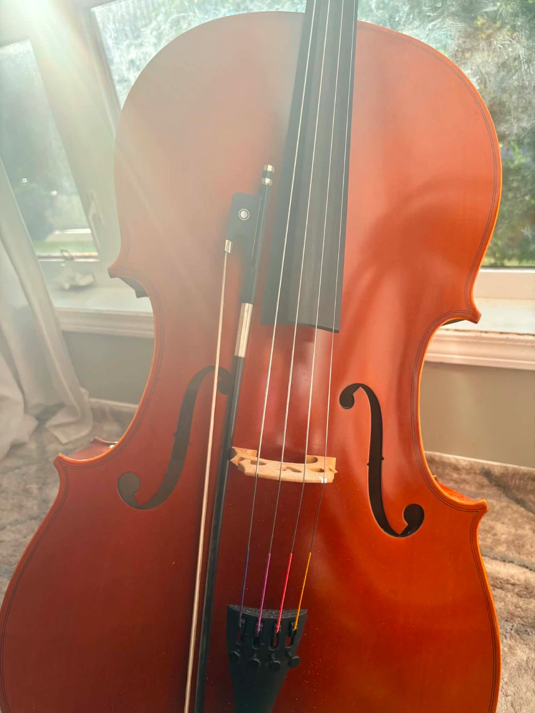 Eastman Strings Cello with Bow Size 4/4 - photo 2