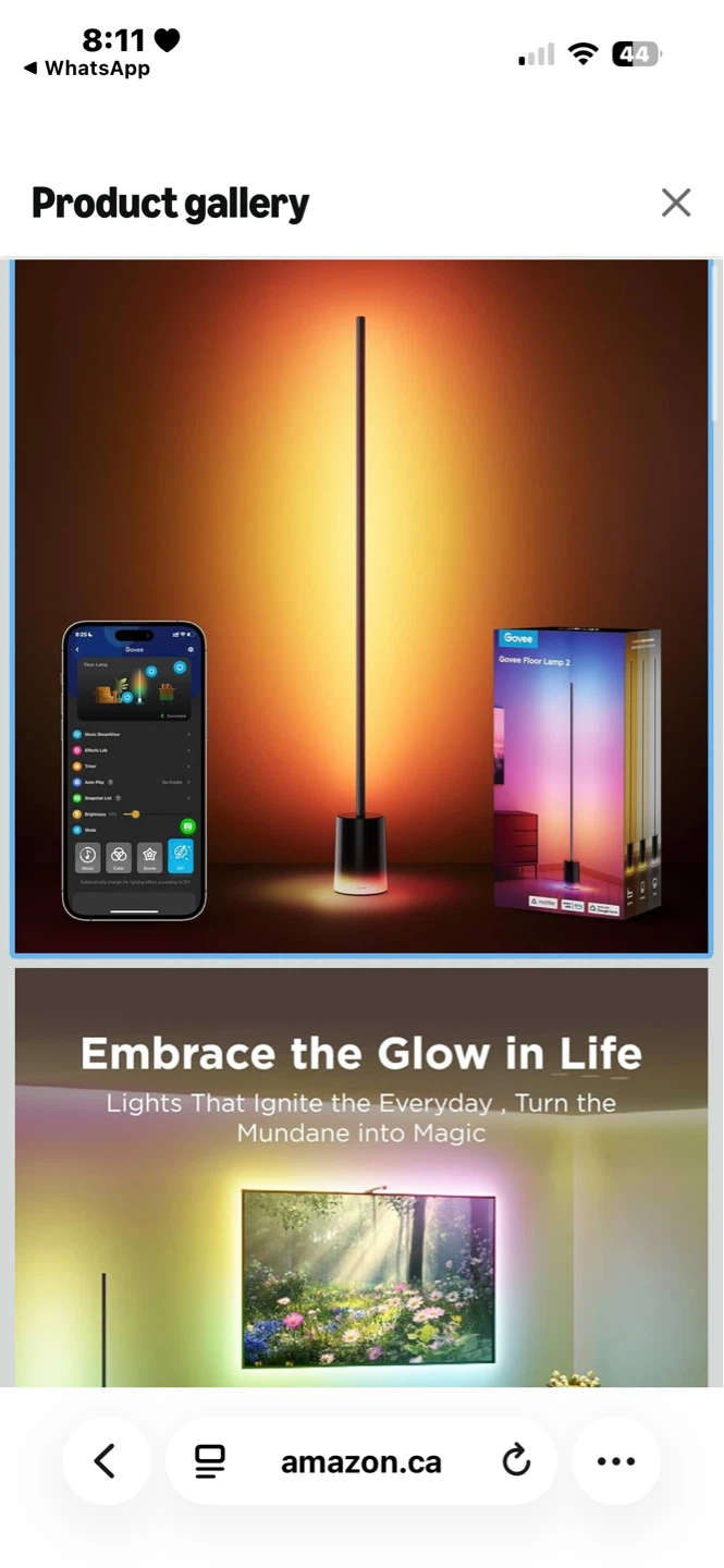 Govee Floor Lamp
