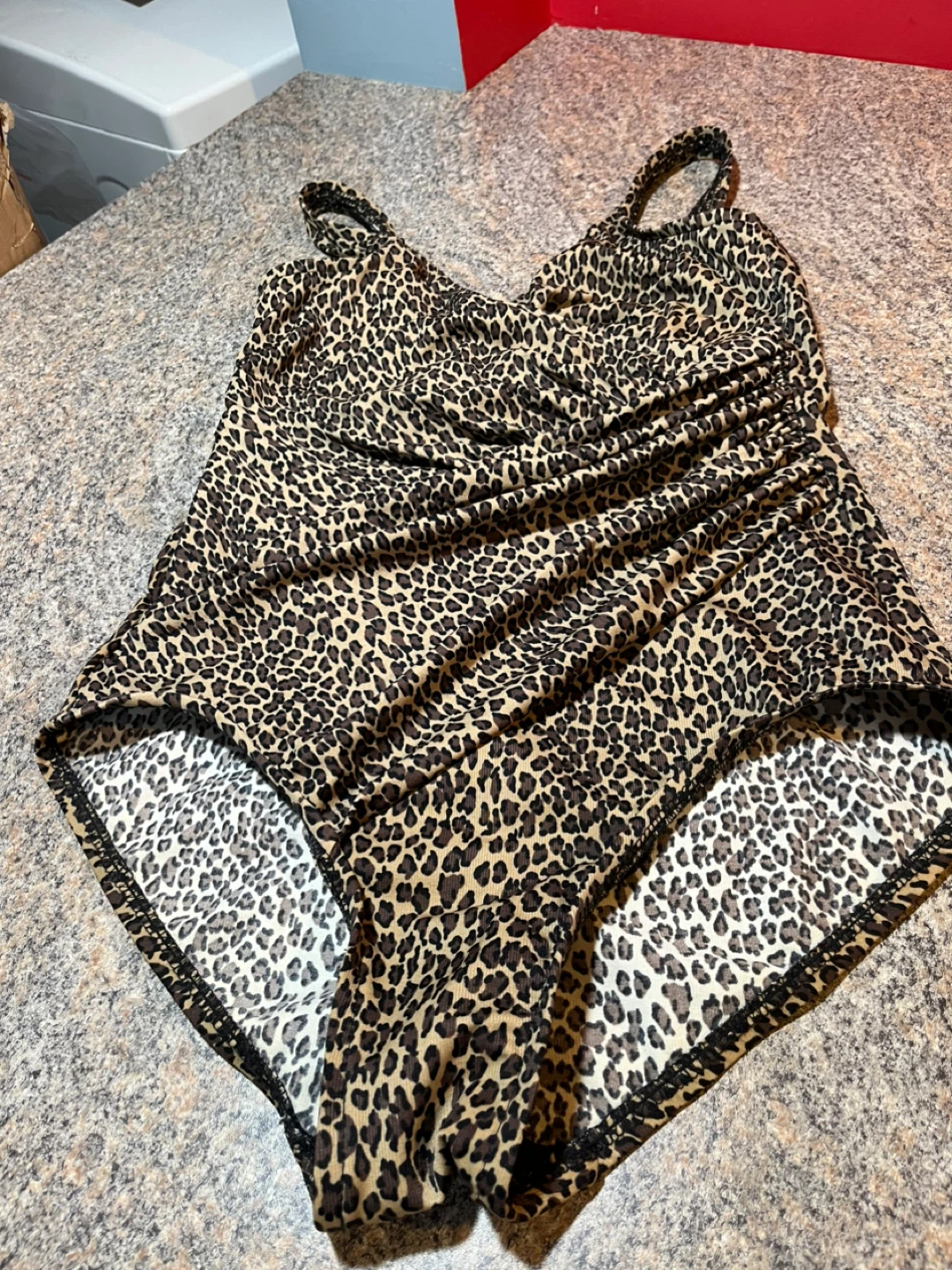 Miraclesuit  One-Piece Swimsuit