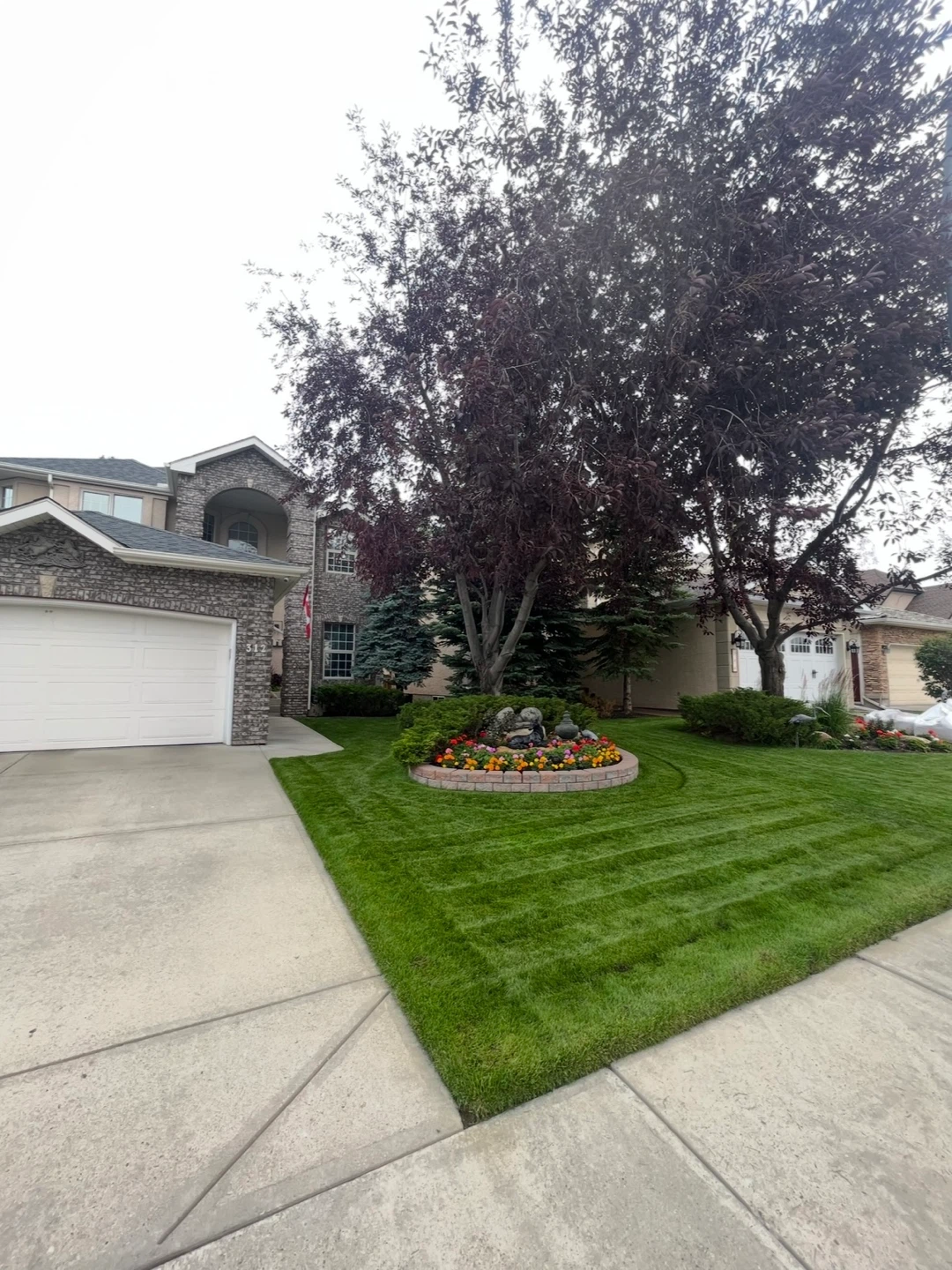 Pro Lawn maintenance