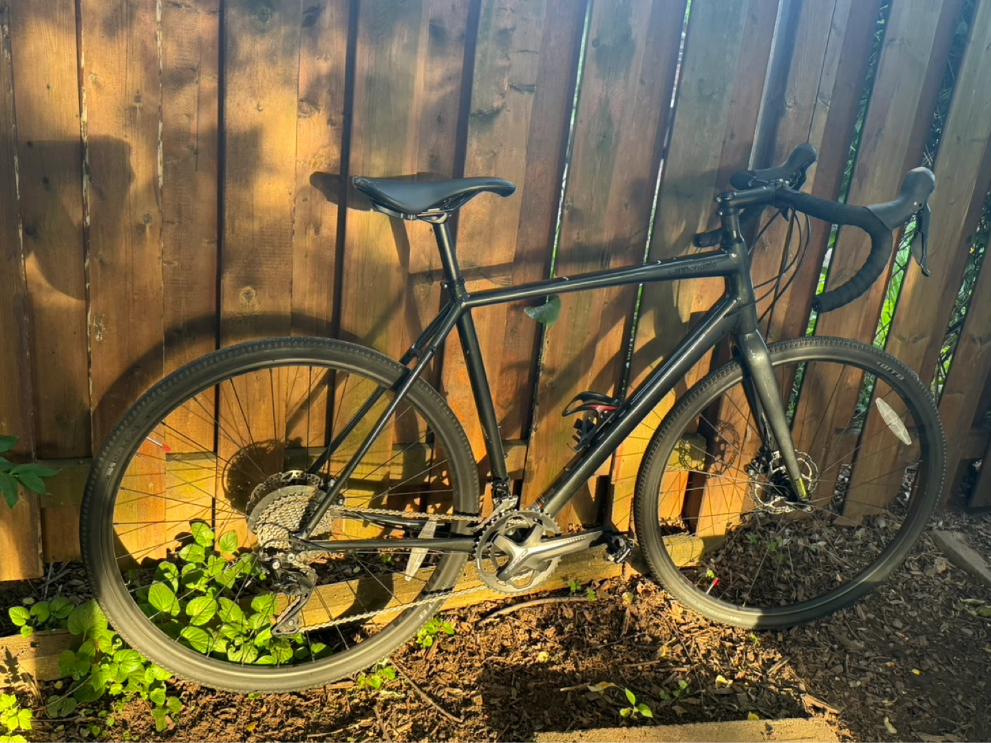 Cannondale topstone size L