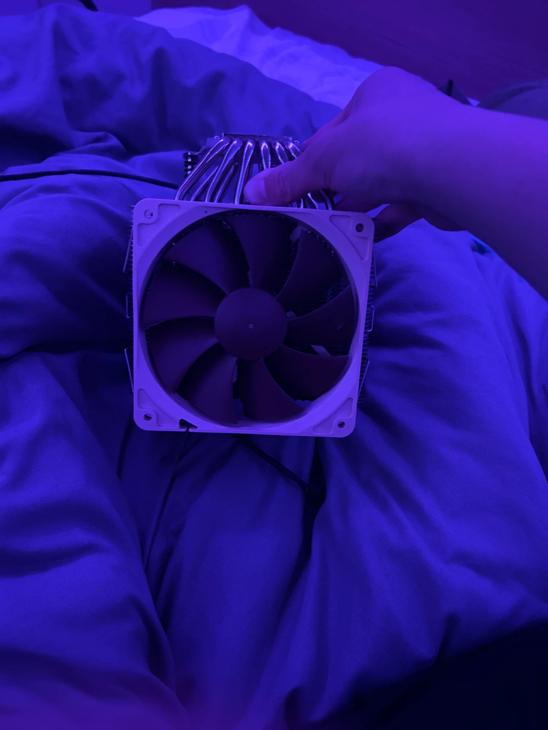 Noctua CPU Cooler