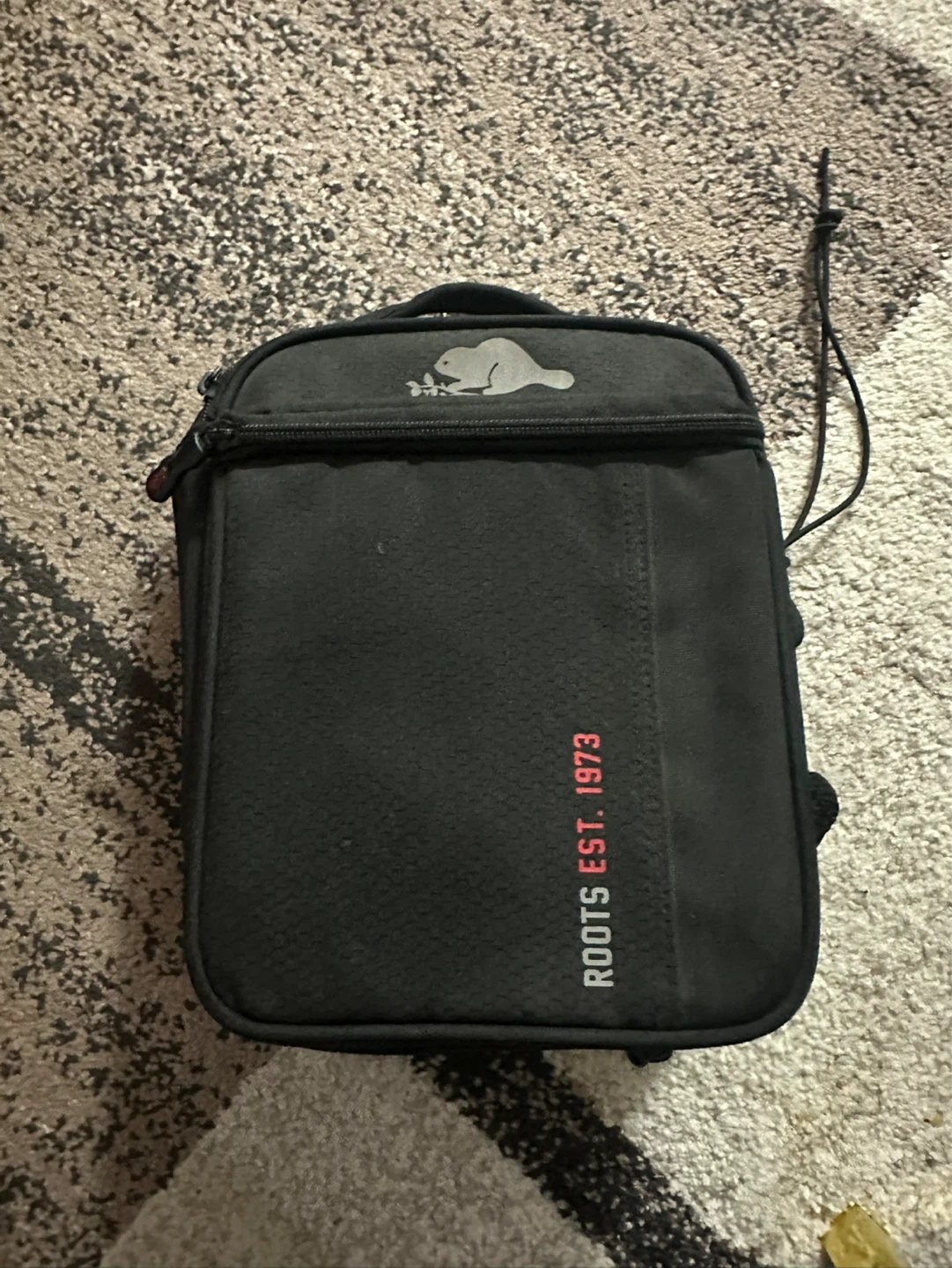 Roots Insulated Lunch Bag