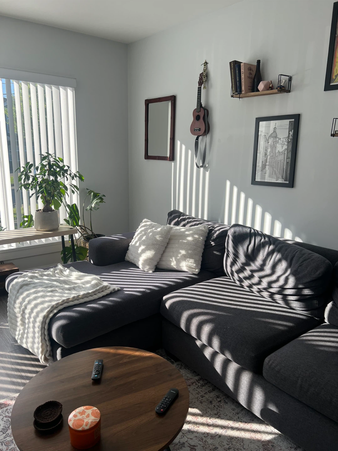 Grey Sectional Couch with Chaise