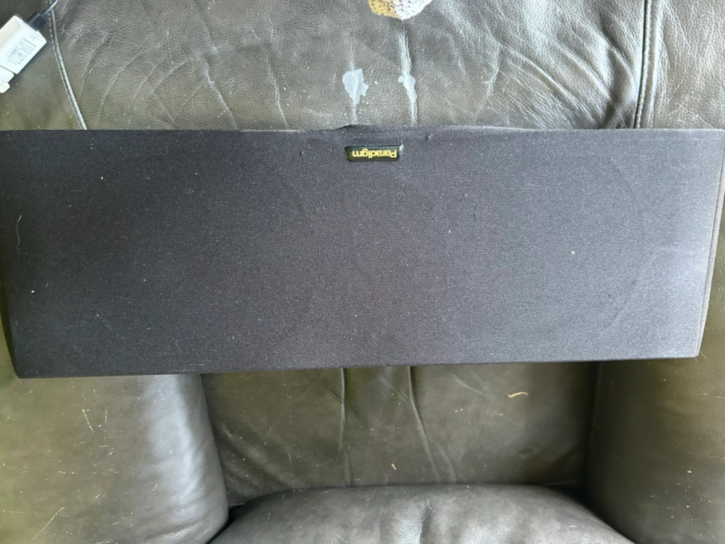 Paradigm Speaker