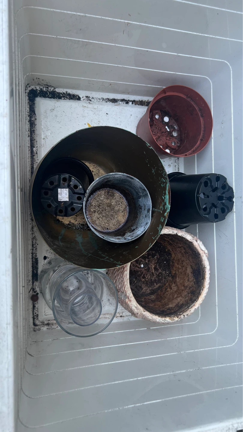 Assorted Plant Pots