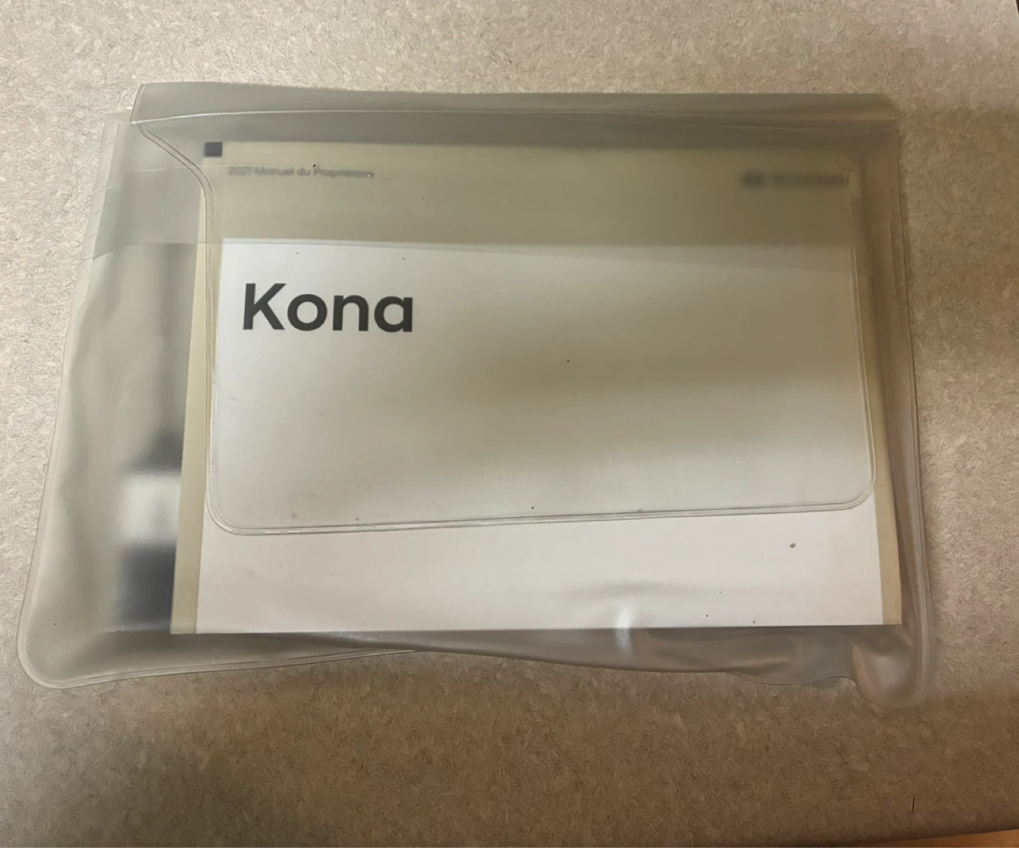 Hyundai Kona Owner's Manual