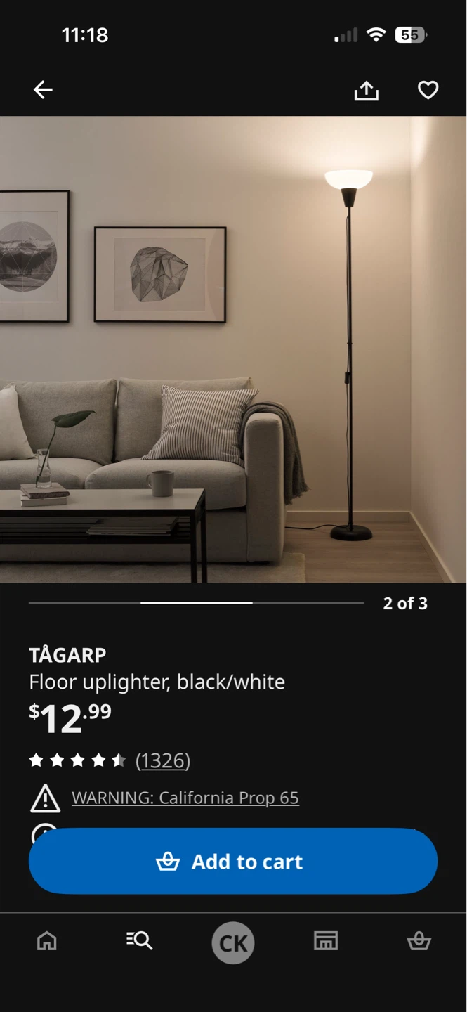 Floor lamp