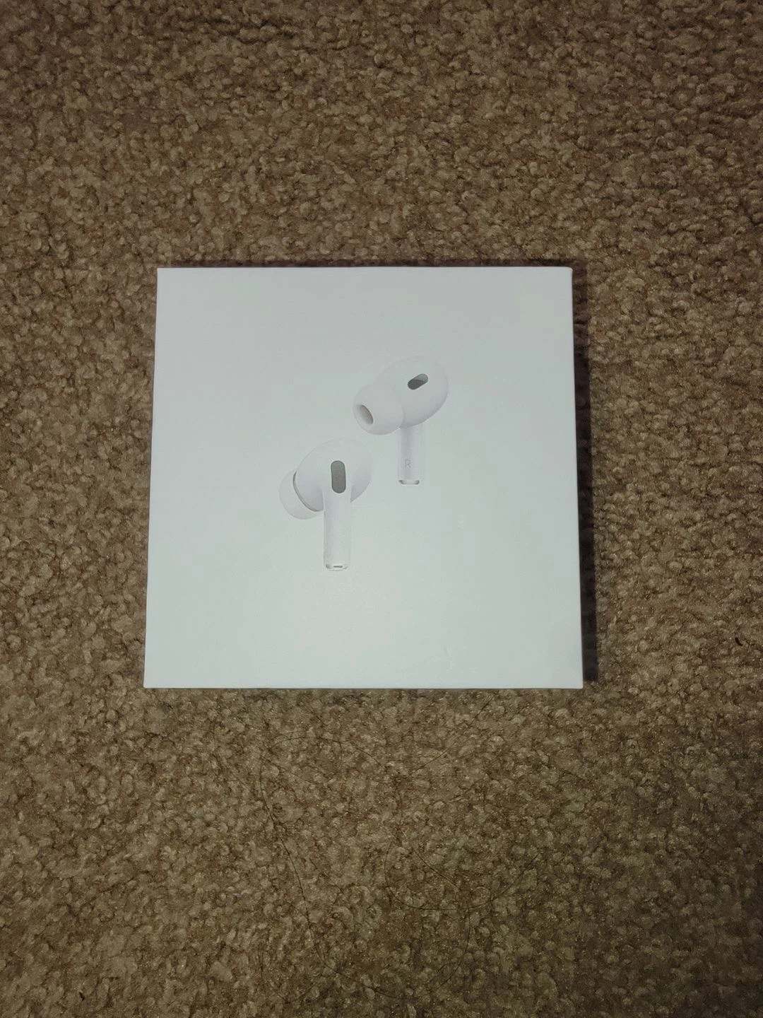 Apple AirPods Pro (MagSafe Charging Case)