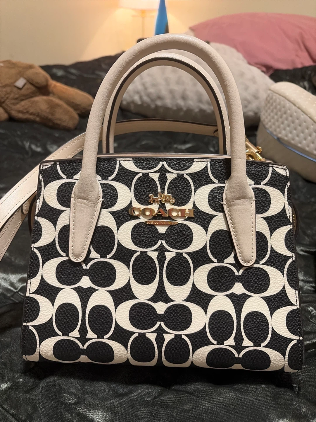 Coach Signature Print Mini Bag