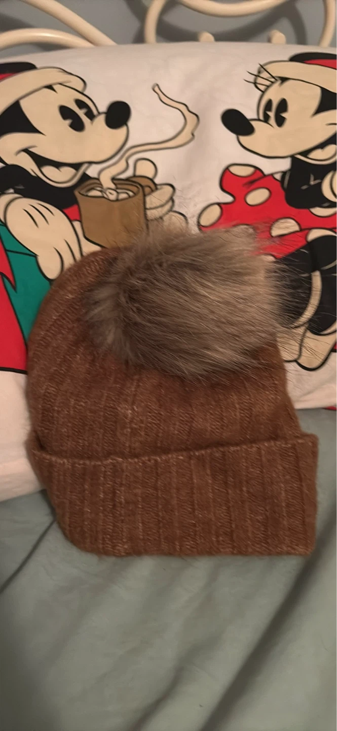 Aritzia brown beanie