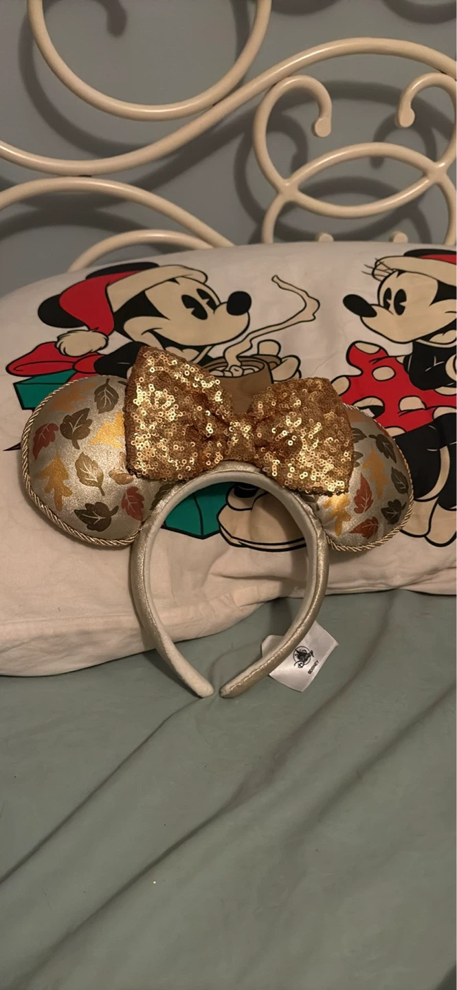 Disney fall ears