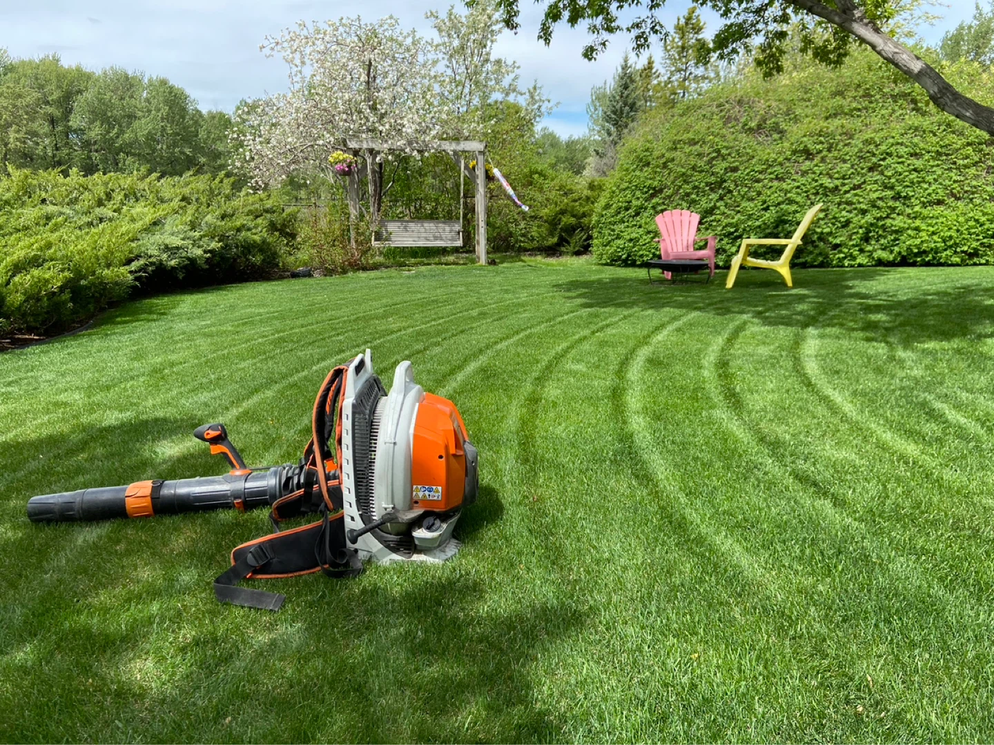 Pro Lawn maintenance - photo 2