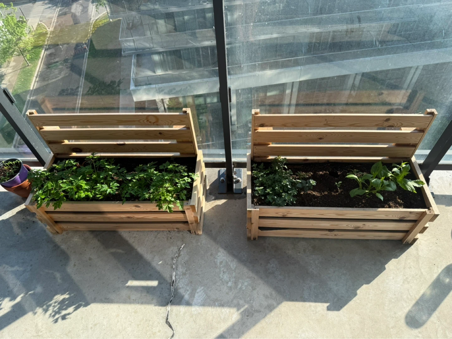 Wooden Planter Box - set of 2