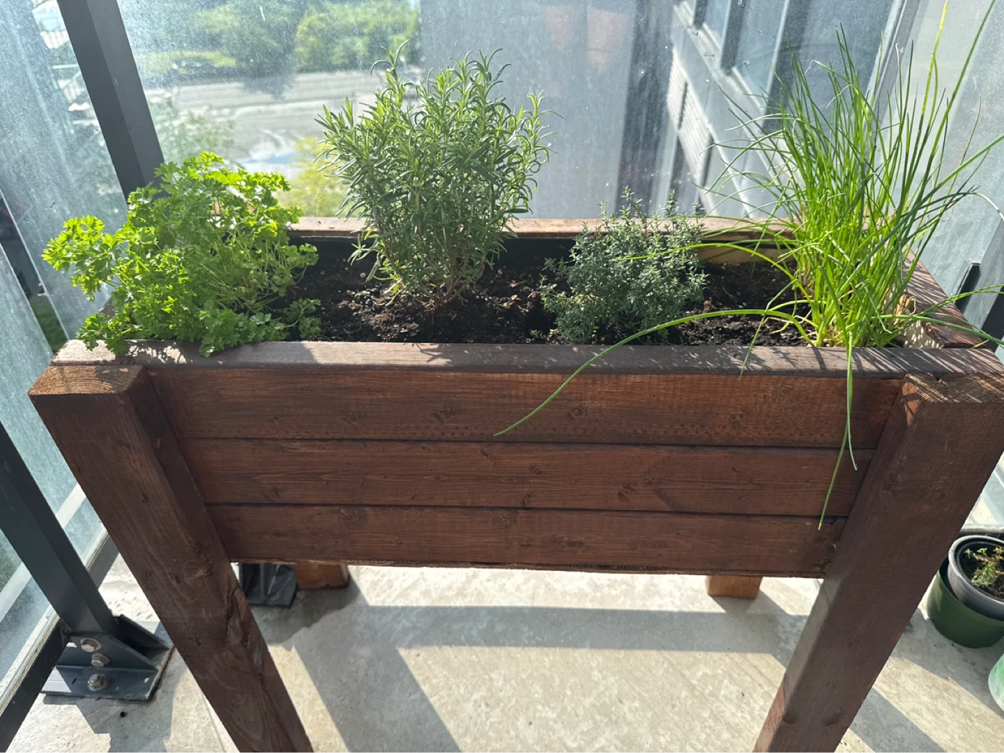 Wooden Raised Planter Box with Herbs