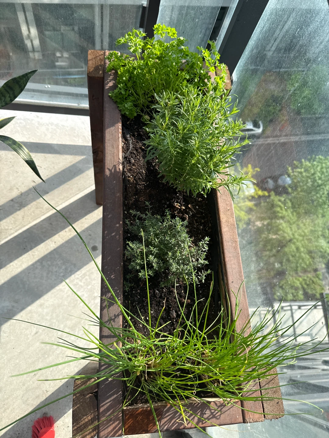 Wooden Raised Planter Box with Herbs - photo 2