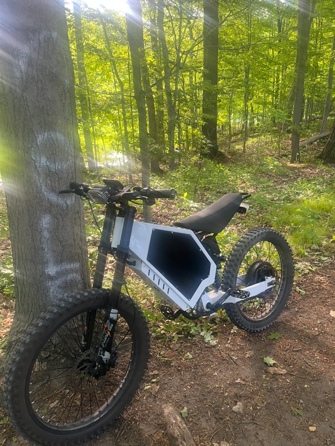 Stealth bomber e bike - photo 4