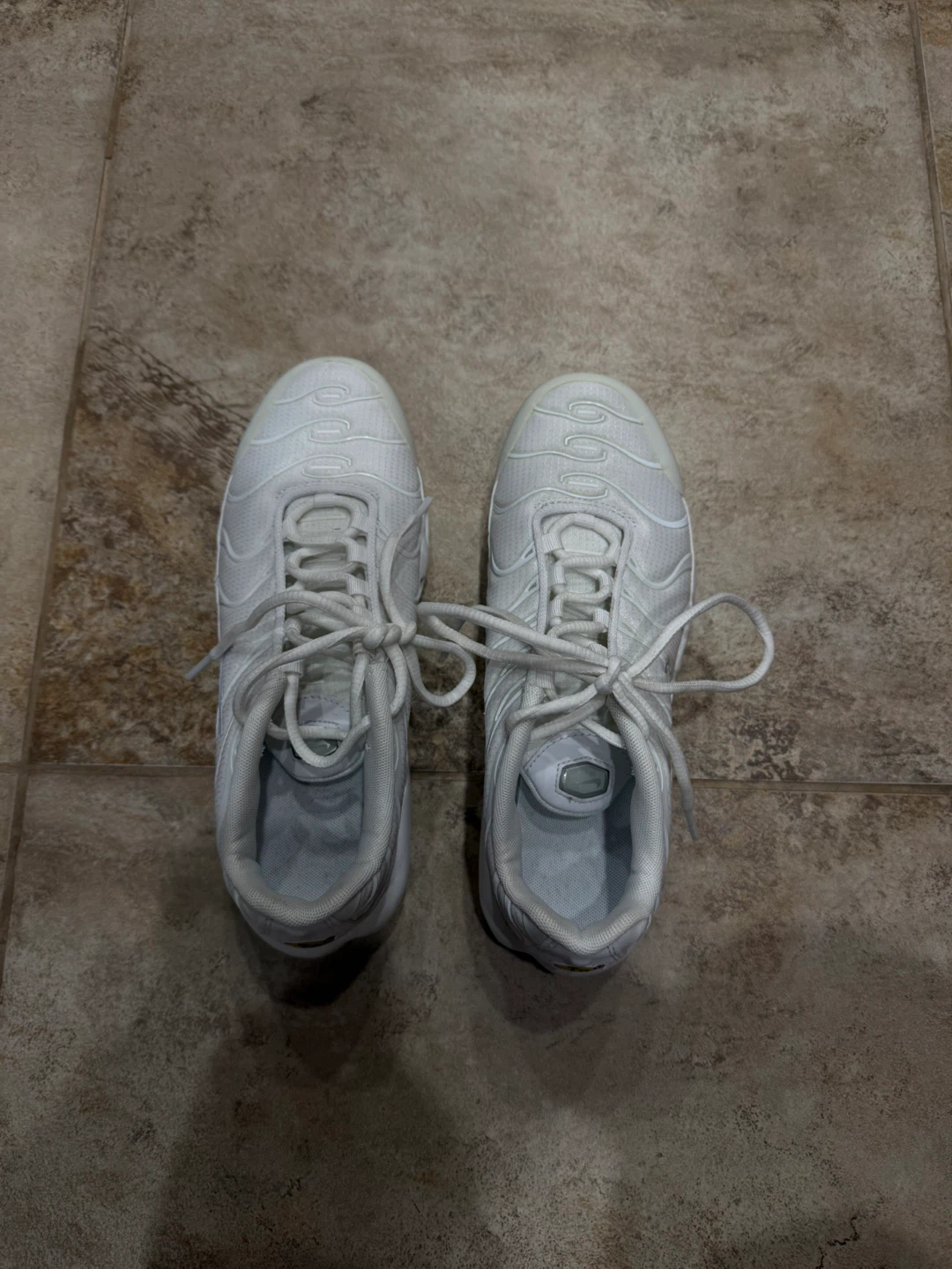Nike Air Max Plus TN SE White Sneakers - photo 3