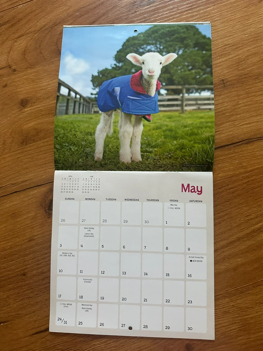 Lambies in Jammies & Goats in Coats 2026 Calendar - photo 3