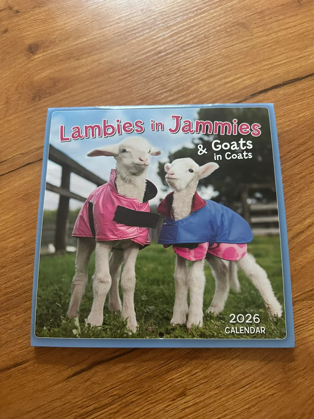 Lambies in Jammies & Goats in Coats 2026 Calendar