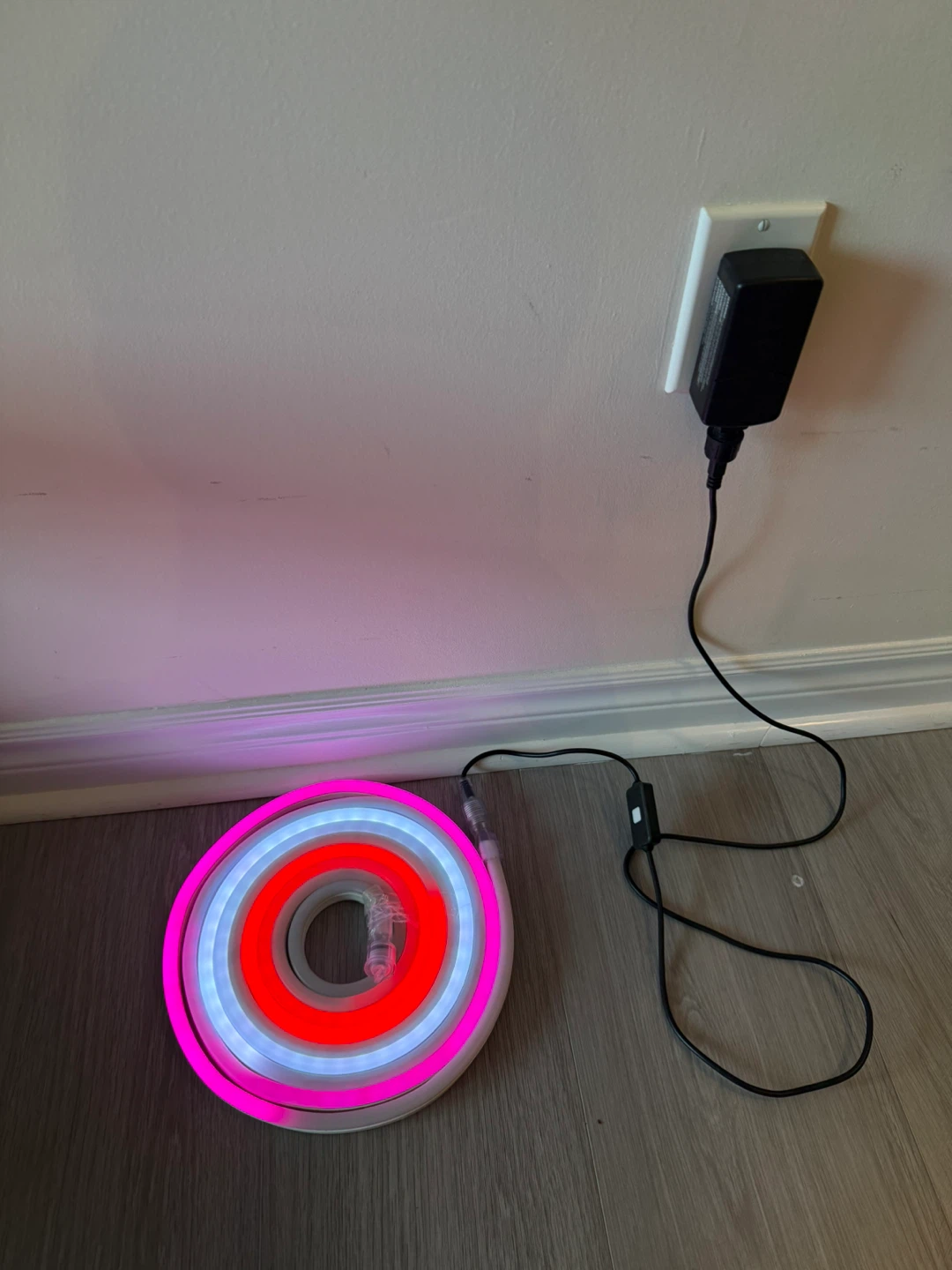 LED Neon Rope Light with Remote - photo 3