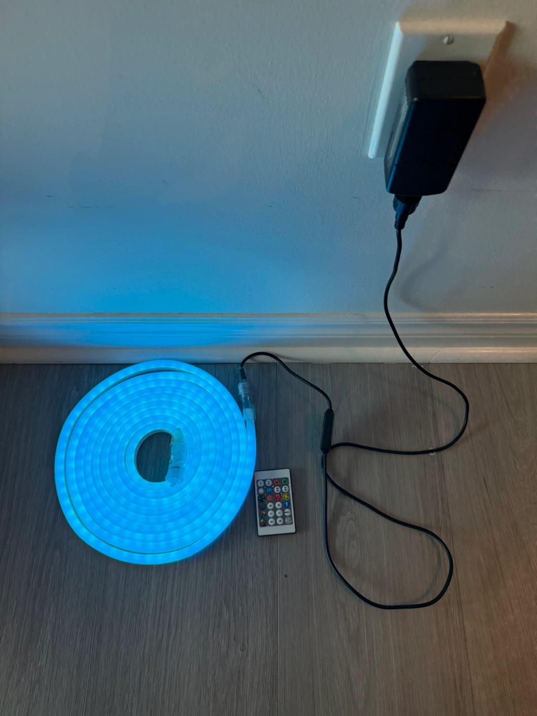 LED Neon Rope Light with Remote