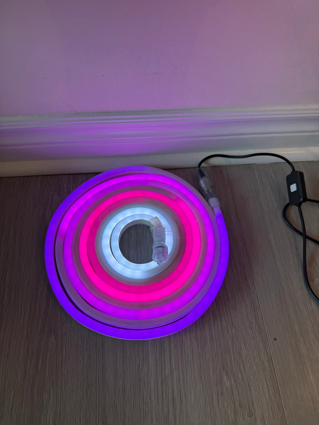 LED Neon Rope Light with Remote - photo 2