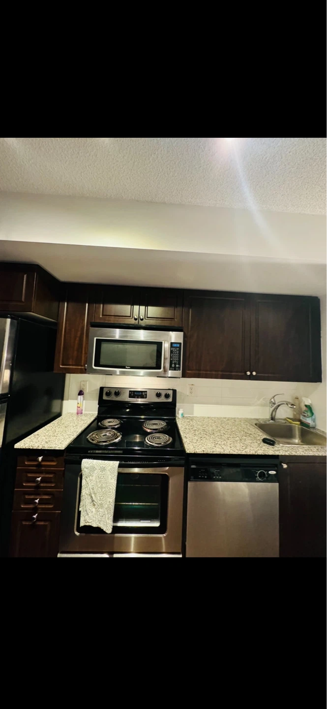Apartment for Rent in Downtown Toronto - photo 4