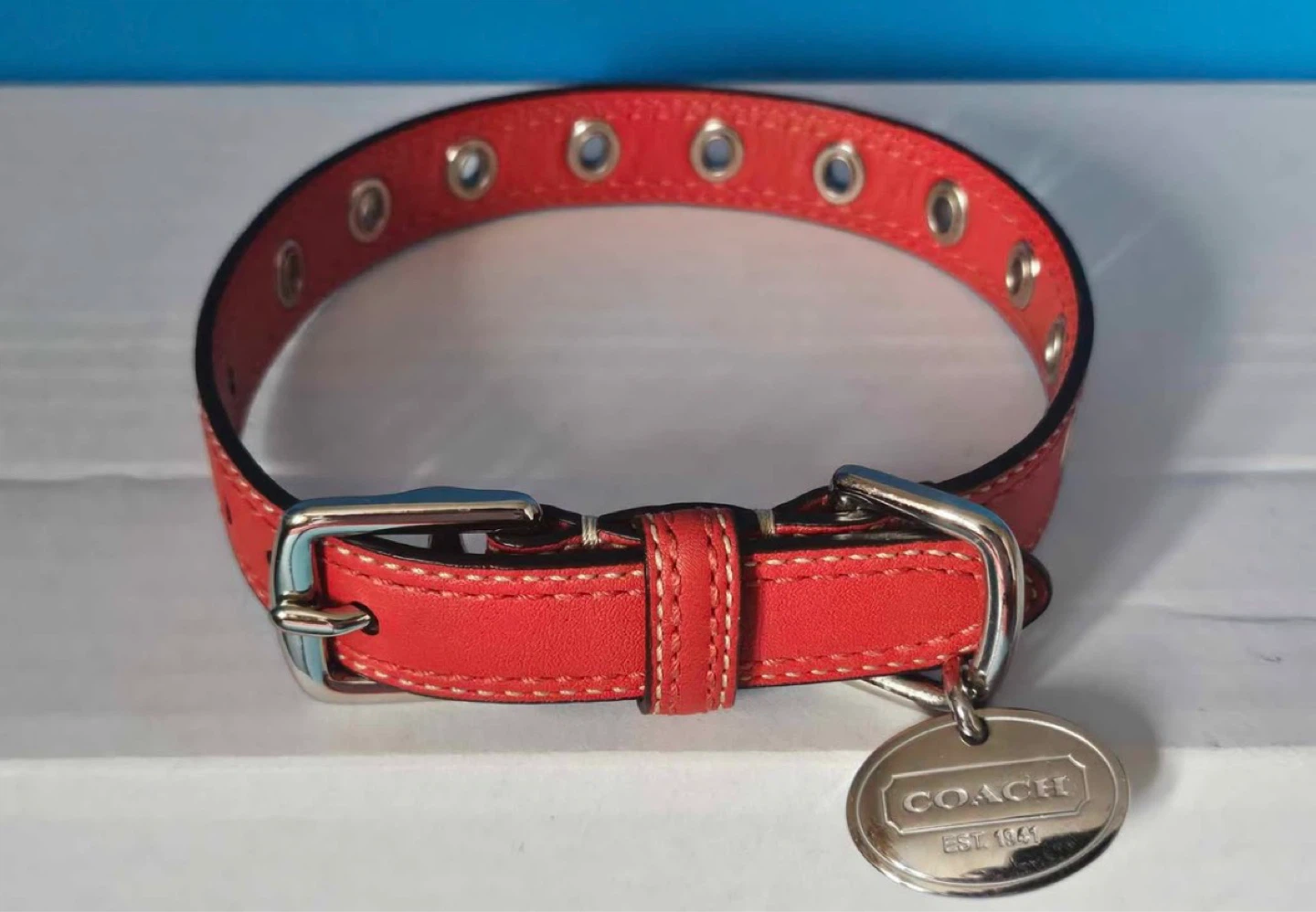Coach Dog Collar - photo 2