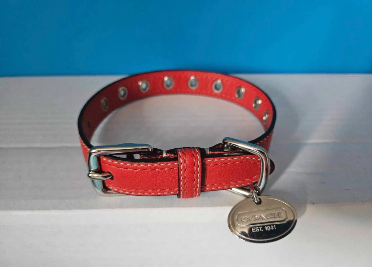 Coach Dog Collar