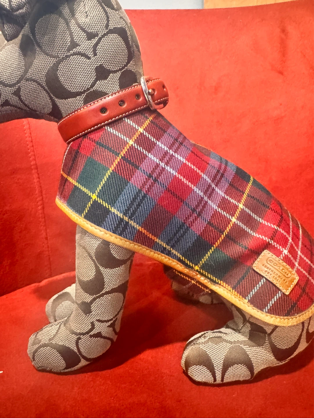 Coach Dog Collar - photo 5