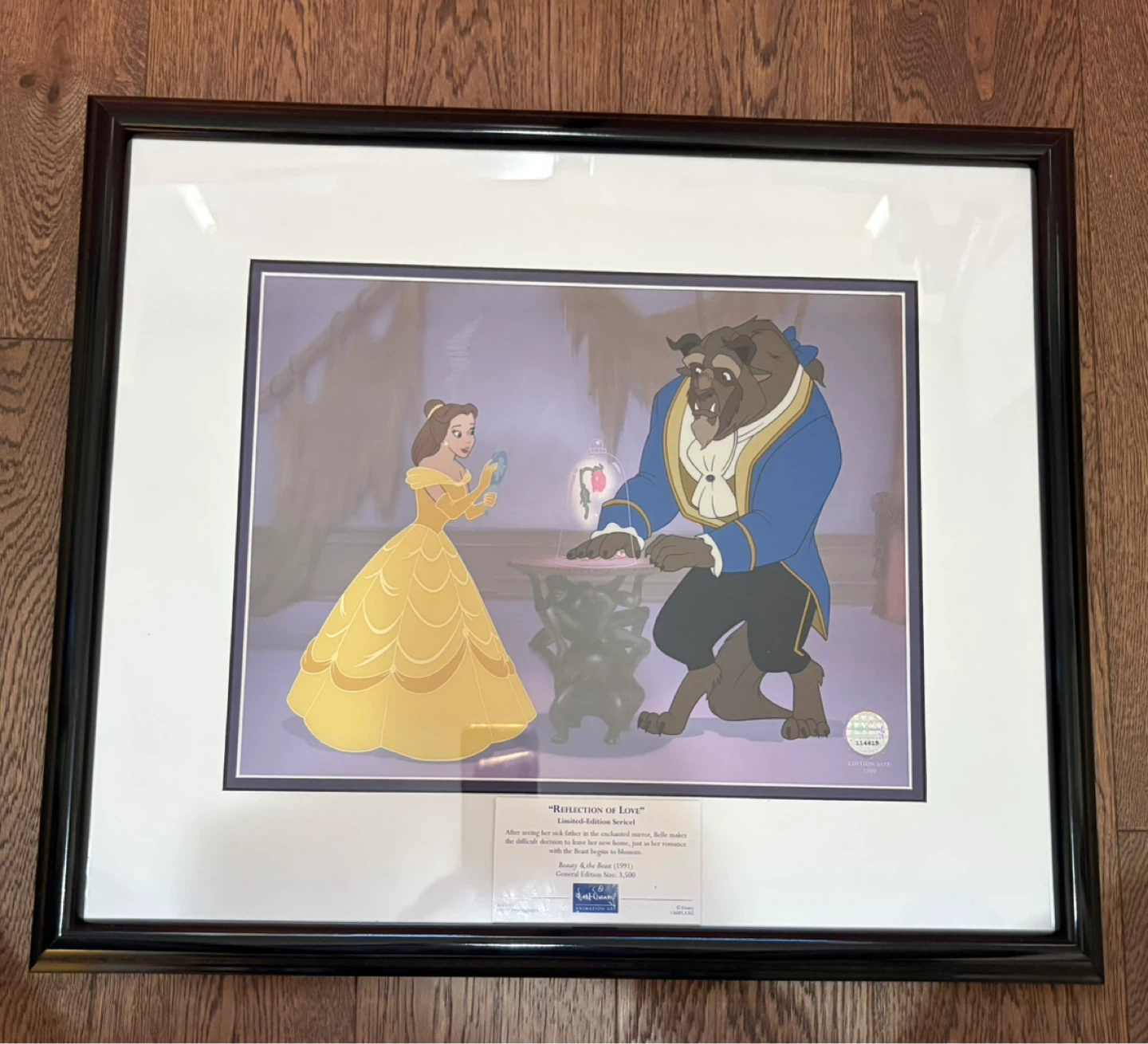 Disney "Reflection of Love" Framed Art