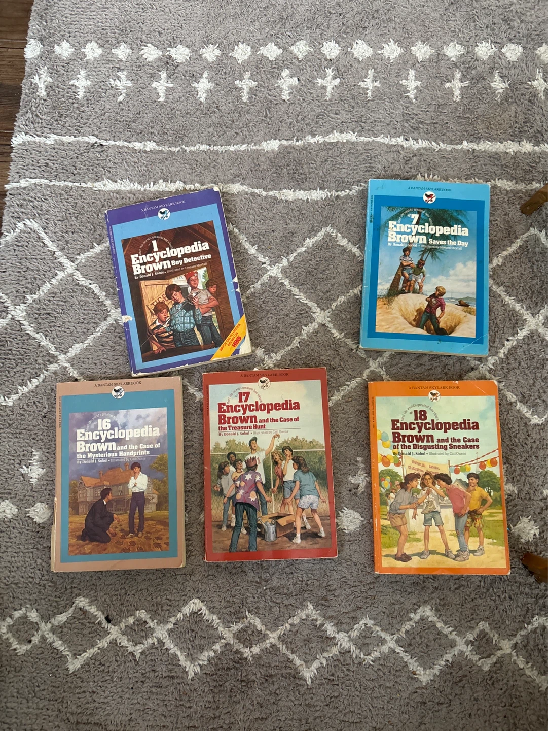 Encyclopedia Brown Book Set