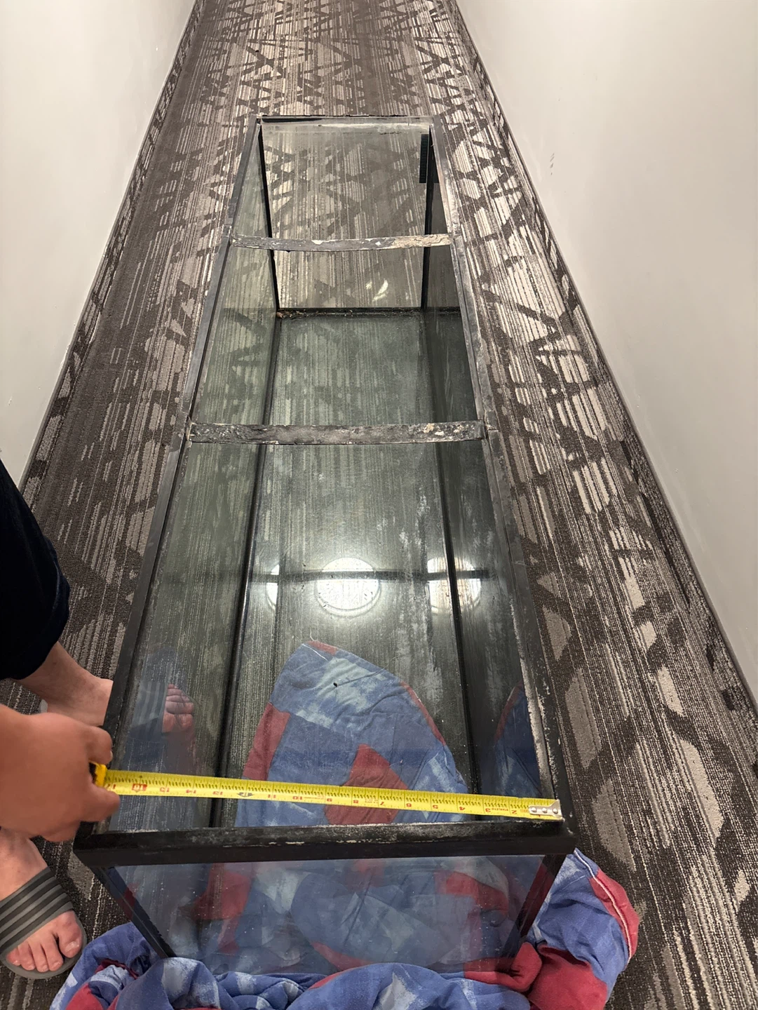 Large Glass Aquarium Tank