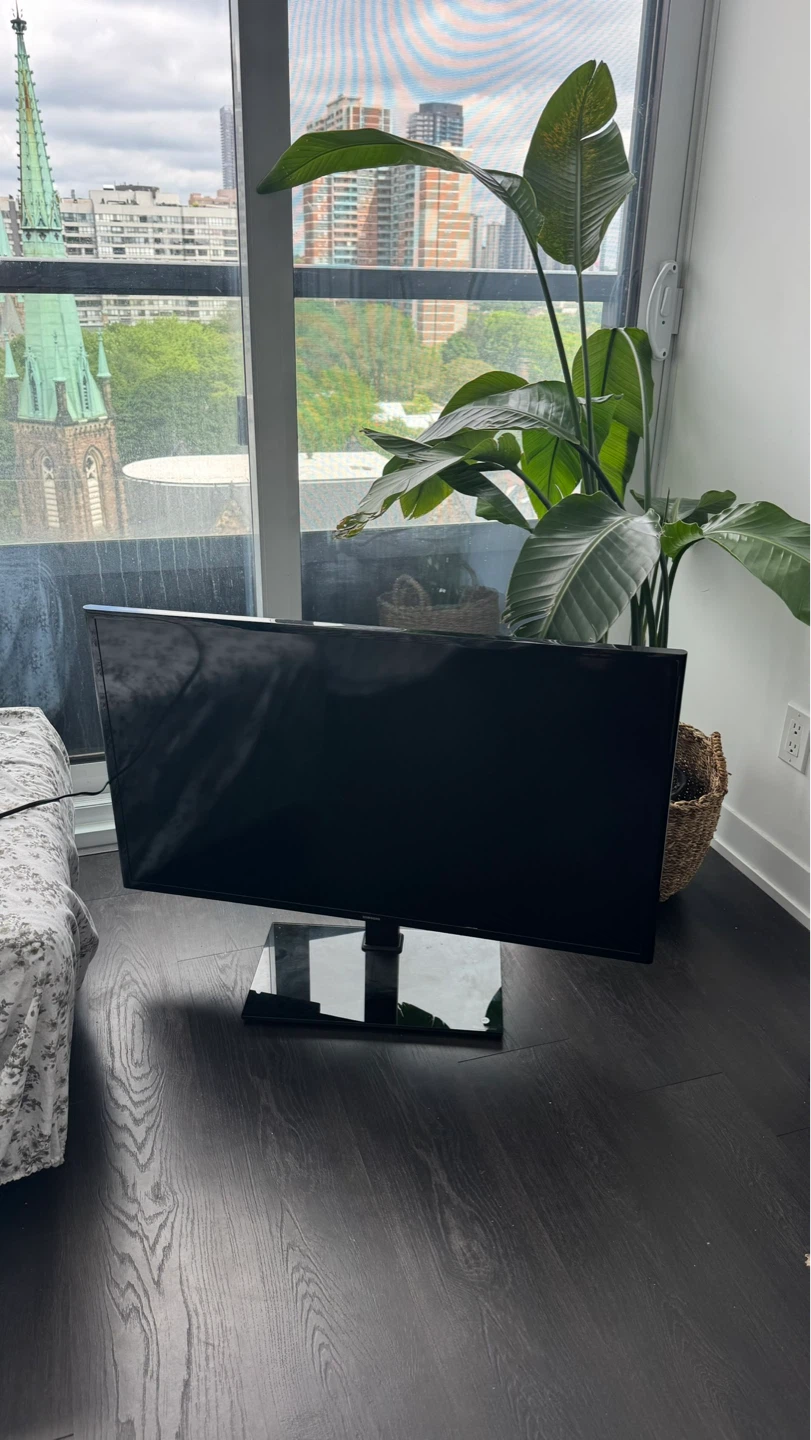 Samsung 43 inch TV