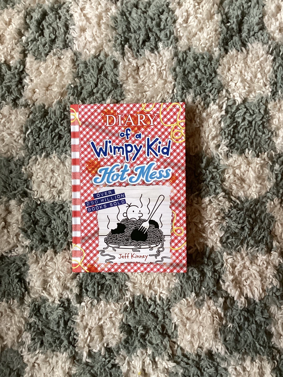 Diary of a wimpy kid hot mess