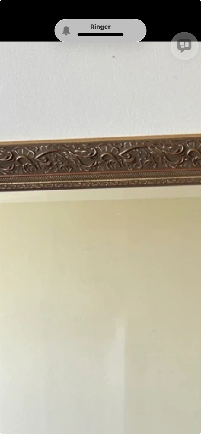 Ornate Framed Wall Mirror - photo 2